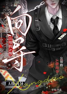 《公用的A级向导》